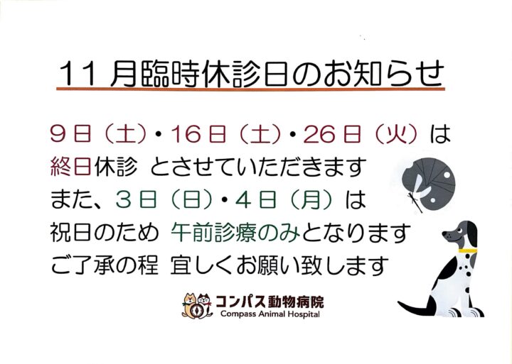 11月　臨時休診日のお知らせの画像